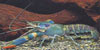 Cherax quadricarinatus