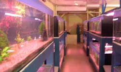 Red Crystal Farm