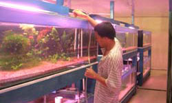 Red Crystal Farm